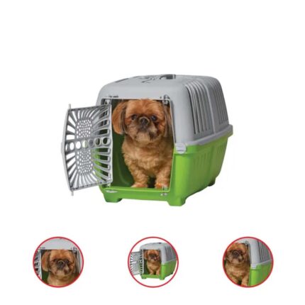 Spree 22 Inches Travel Pet Carrier Green with Plastic Door