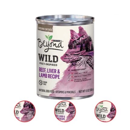 Purina Beyond WILD Prey Inspired Grain Free High Protein Beef Liver & Lamb Pate Recipe Wet Dog Food (12) 13 Ounce Cans