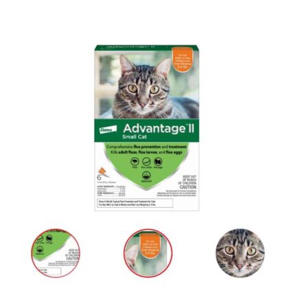 Advantage II Flea Prevention for Small Cats 6 Monthly Treatments