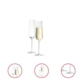 Zwiesel Glas Tritan Pure Champagne Collection Set of 8