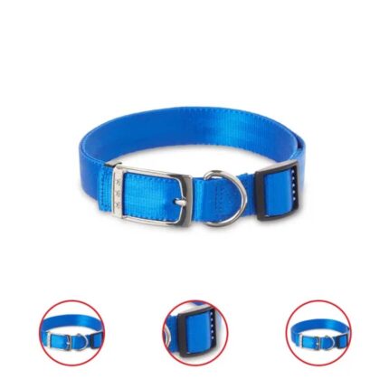 Vibrant Life Nylon Fashion Dog Collar Blue Large (Pack Of 2)