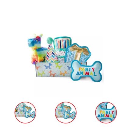 Party Animal Birthday Box Dog Toy Bundle 5 Piece Set Blue
