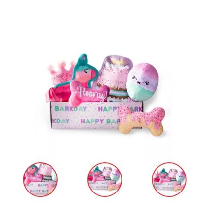 Happy Barkday Birthday Girl Box Dog Toy Bundle 6 Piece Set Pink