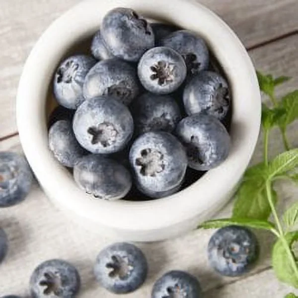 Fresh Blueberries, 1 Pint Container - Image 6