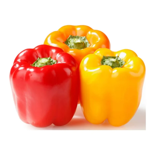 Fresh Color Bell Peppers, 3 Count