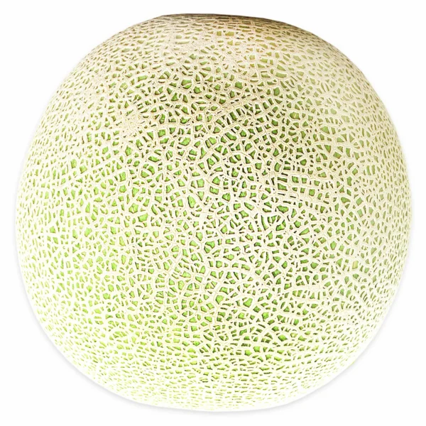 Cantaloupe, each - Image 3