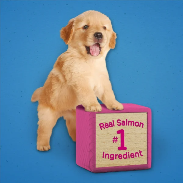 Purina Puppy Chow Dog Training Treats, Healthy Start with Real Salmon, 7 oz Pouch - Image 5