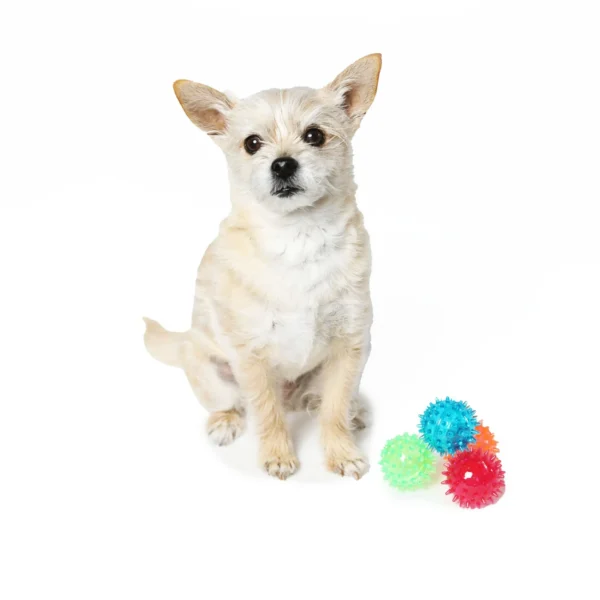 Vibrant Life Fetch Buddy Spiky Ball Fetch Dog Toys, 4-Pack Small, Color May Vary, Chew Level 2 - Image 7