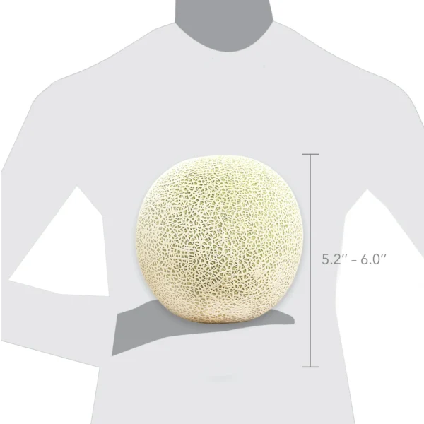 Cantaloupe, each - Image 2