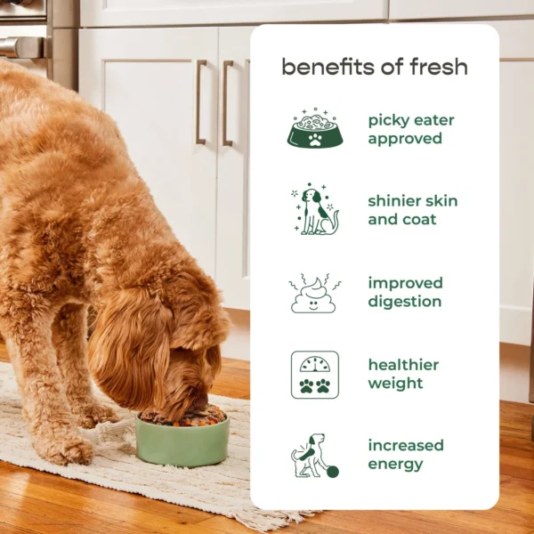 Freshpet Select Beef and Vegetable Recipe Fresh Dog Food Healthy and Natural 1.5lb Roll - Image 4